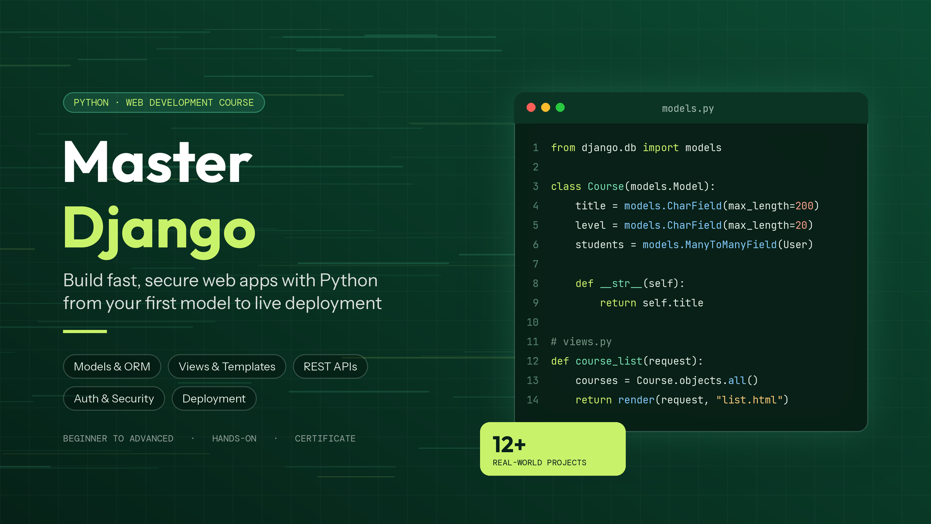 The Complete Python Full Stack Bootcamp: Zero to Professional Developer